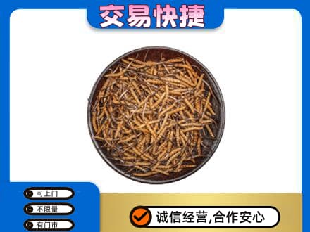 杭州萧山区高价回收散虫草